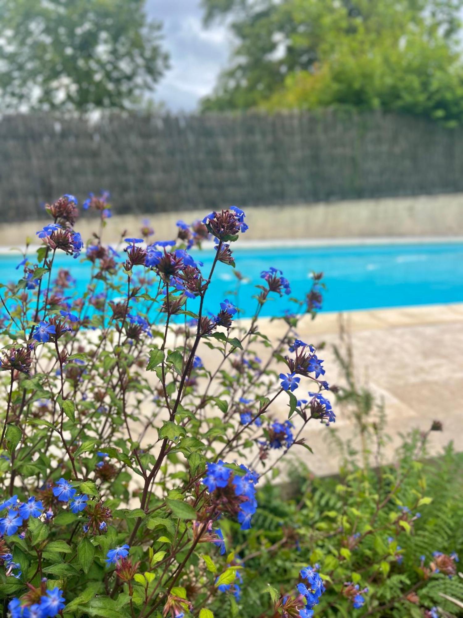 Gite Ben & Nad Proche Du Puy Dufou Saint-Aubin-des-Ormeaux エクステリア 写真